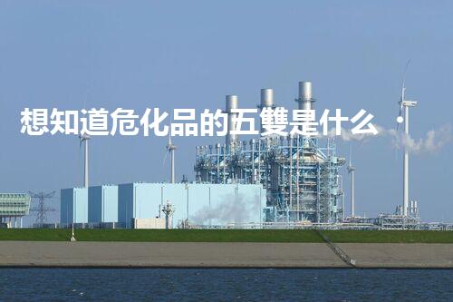 想知道?；返奈咫p是什么？快來看看吧！